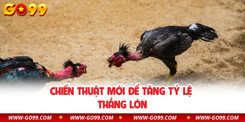 Chiến thuật mới để tăng tỷ lệ thắng lớn