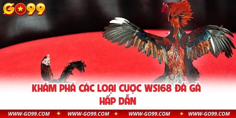Khám phá các loại cược WS168 đá gà hấp dẫn