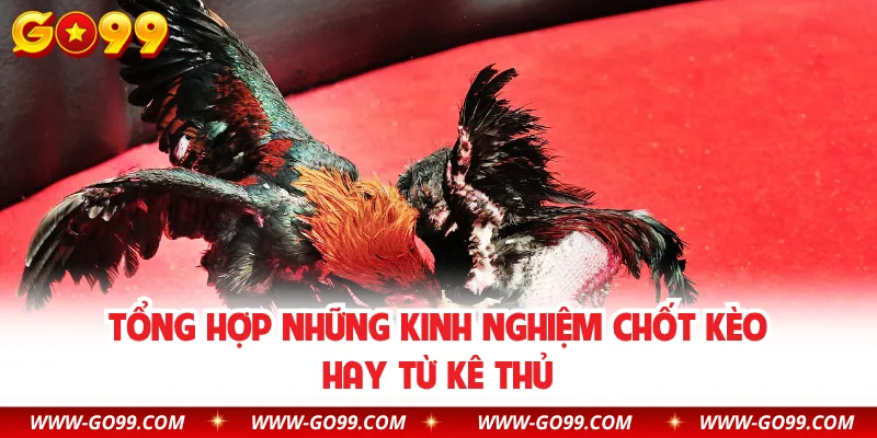 Tổng hợp những kinh nghiệm chốt kèo hay từ kê thủ